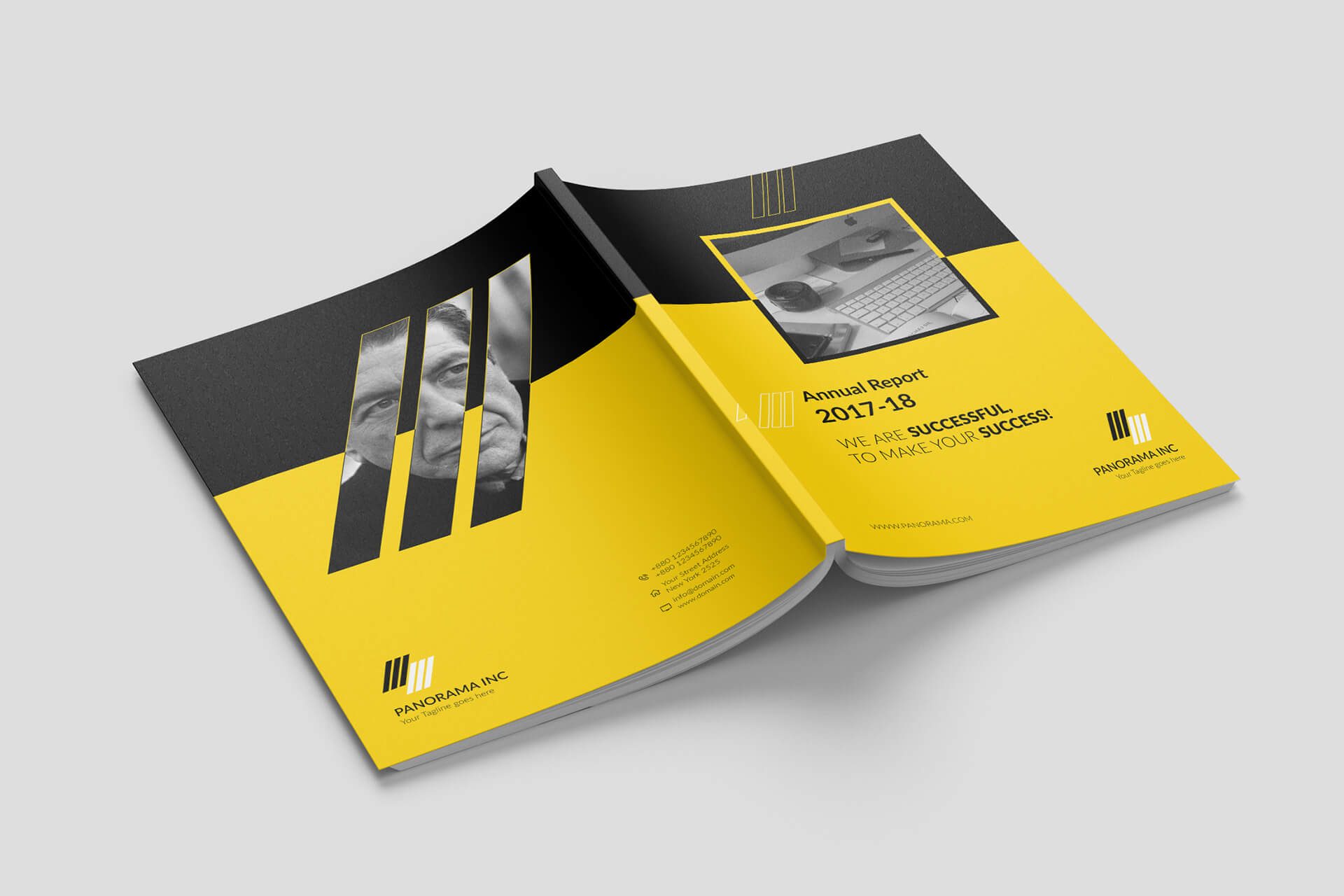 Panorama Annual Report Template