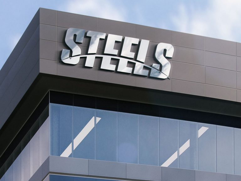 STEELS Logo