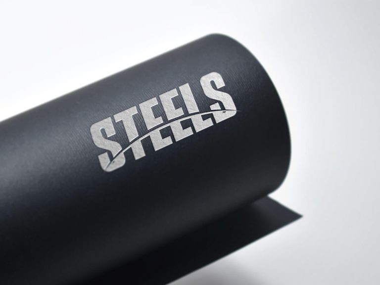 STEELS Logo